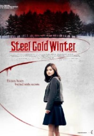 Steel Cold Winter