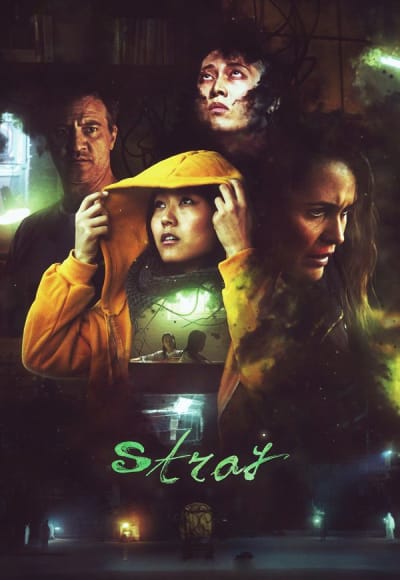 Stray (2019)