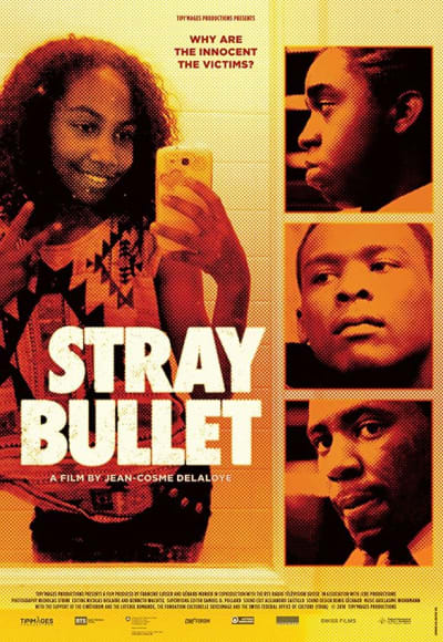 Stray Bullet