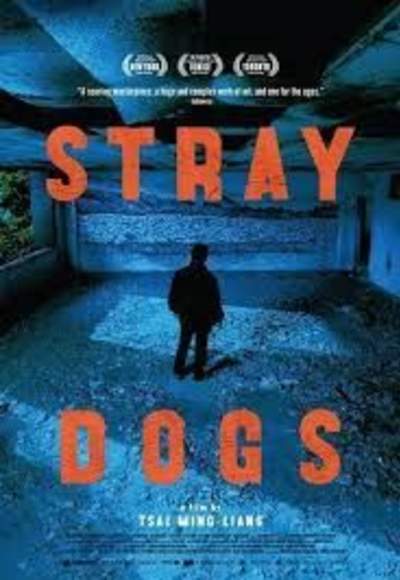 Stray Dogs