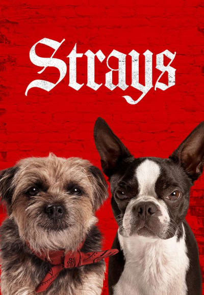 Strays