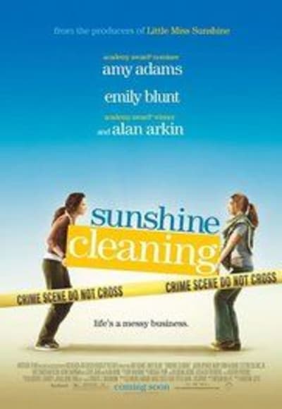 Sunshine Cleaning