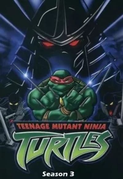 Teenage Mutant Ninja Turtles - Season 03