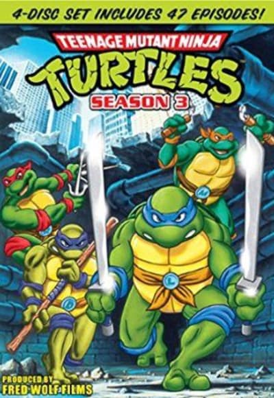 Teenage Mutant Ninja Turtles (2012)- Season 3