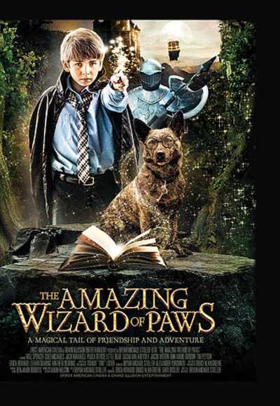 The Amazing Wizard Of Paws