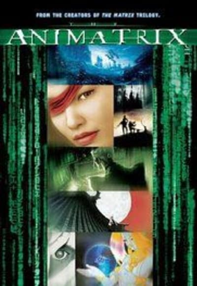 The Animatrix