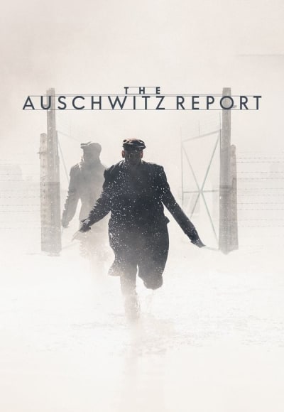 The Auschwitz Report