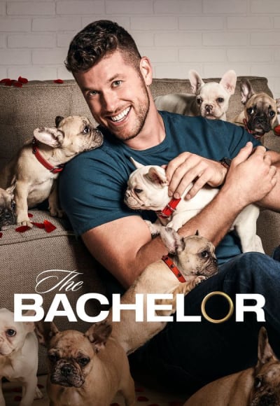 The Bachelor - Season 26