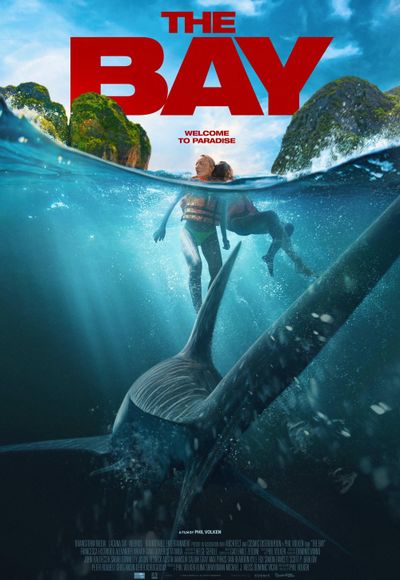 The Bay