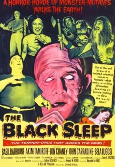 The Black Sleep