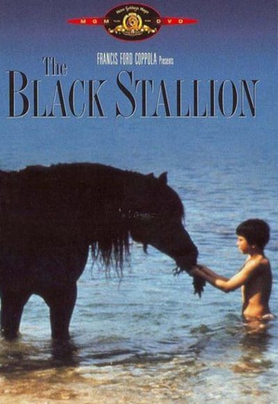 The Black Stallion