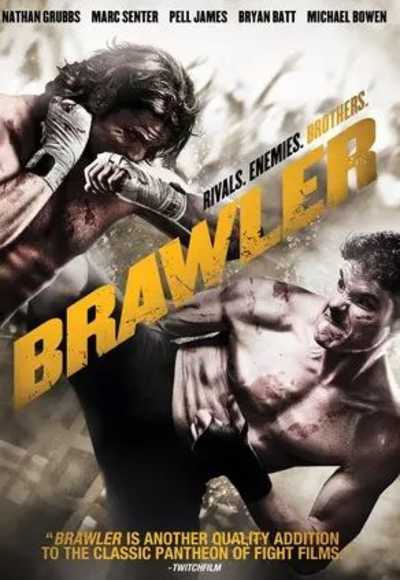 The Brawler