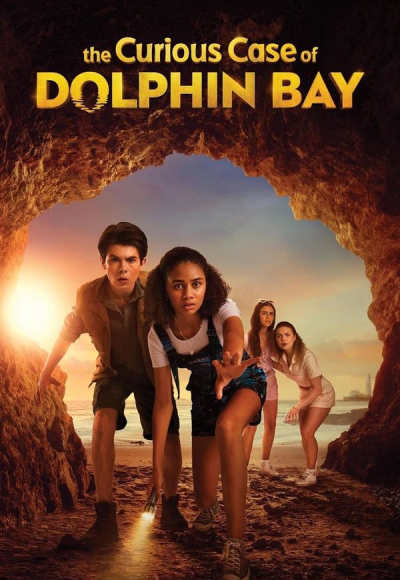 The Curious Case of Dolphin Bay