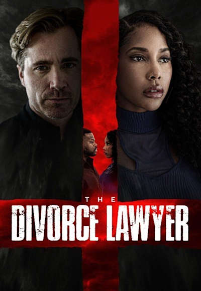The Divorce Lawyer