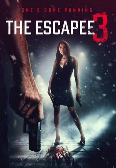 The Escapee 3: The Final Escape