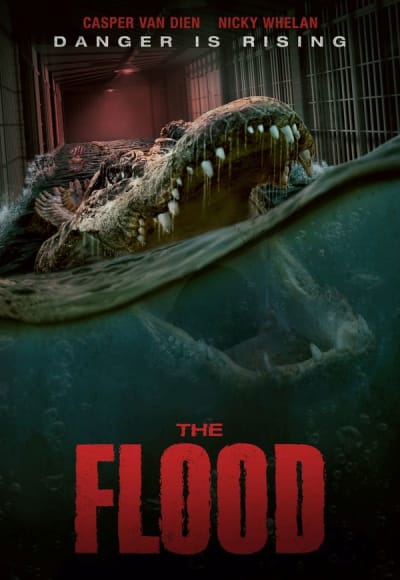 The Flood