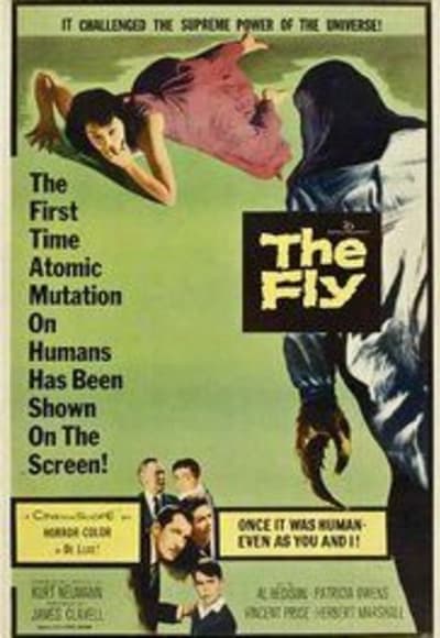 The Fly