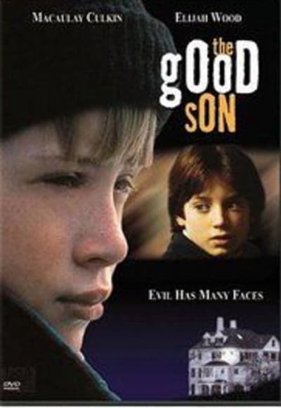 The Good Son