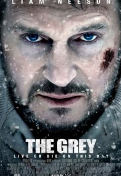 The Grey