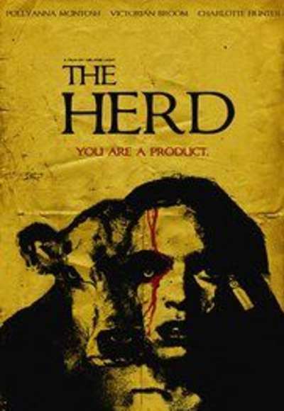 The Herd