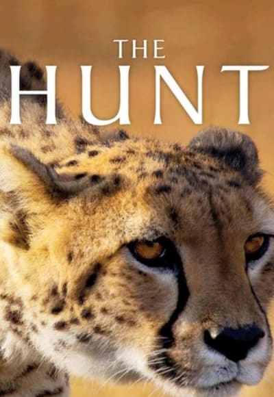 The Hunt - Season 1