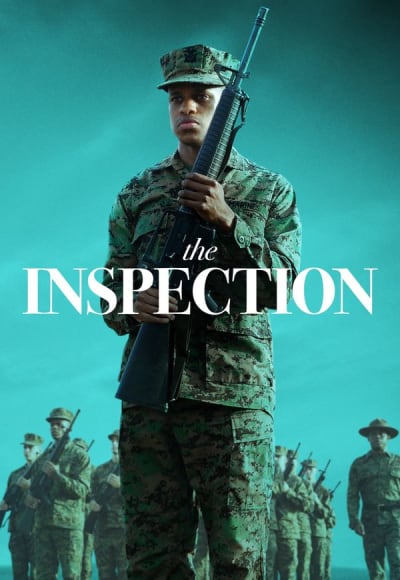 The Inspection