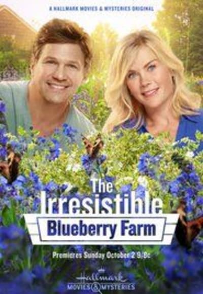 The Irresistible Blueberry Farm