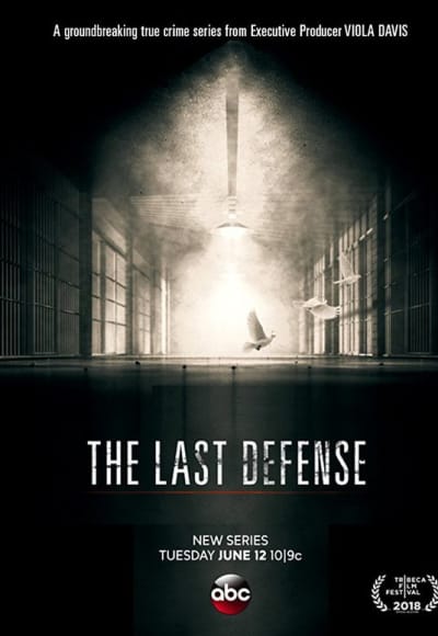 The Last Defense - Season 1