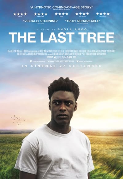 The Last Tree