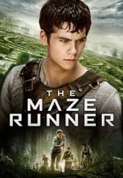 The Maze Runner