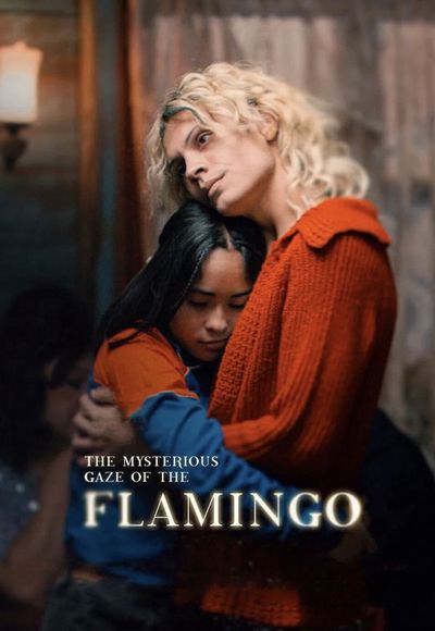 The Mysterious Gaze of the Flamingo