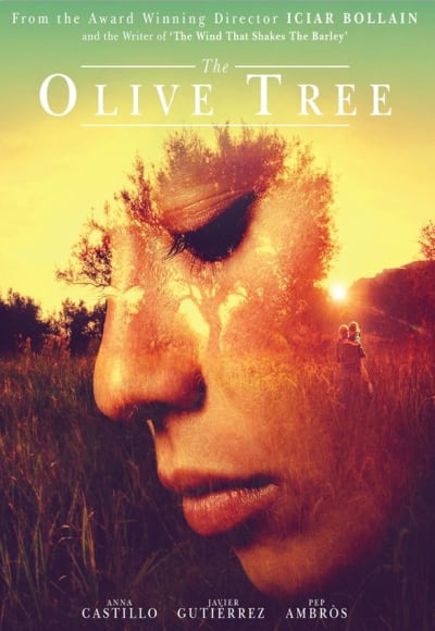 The Olive Tree