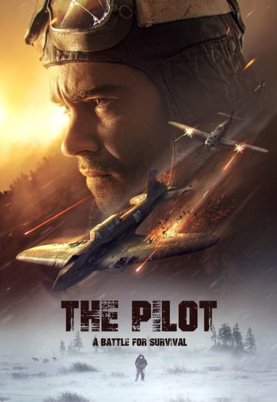 The Pilot A Battle for Survival