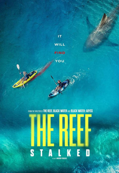 The Reef: Stalked