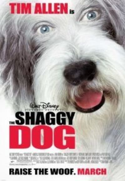 The Shaggy Dog