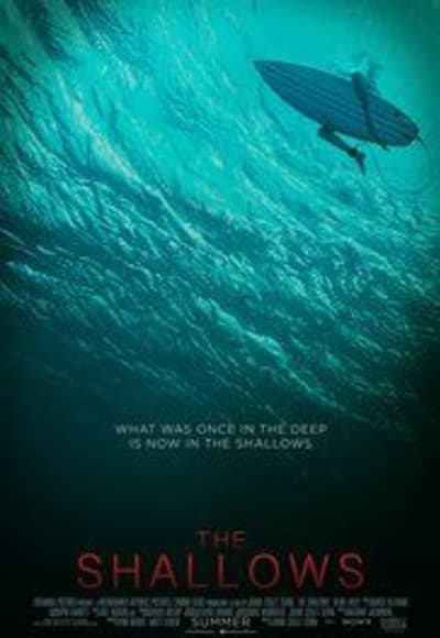 The Shallows