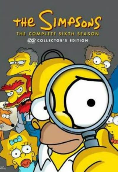 The Simpsons - Season 6