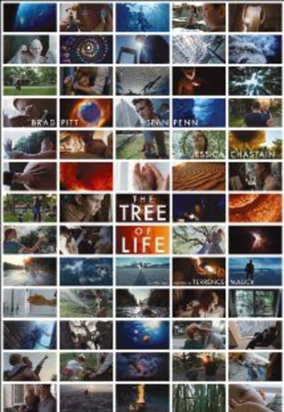 The Tree of Life