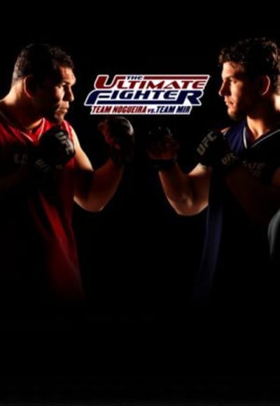 The Ultimate Fighter - Season 08