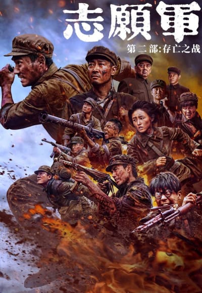 The Volunteers: The Battle of Life and Death