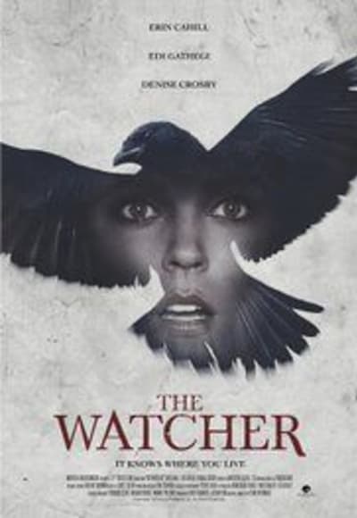 The Watcher (2016)