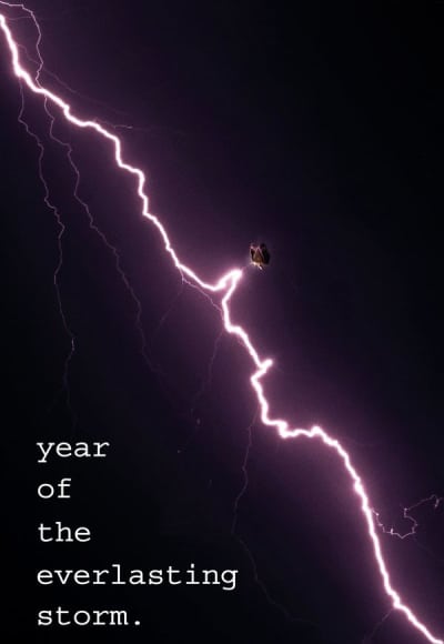 The Year of the Everlasting Storm