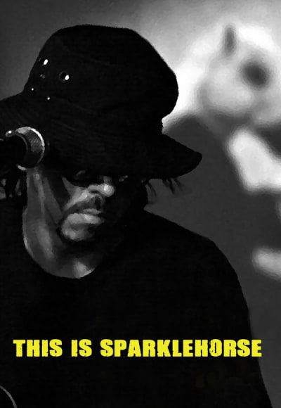 This Is Sparklehorse