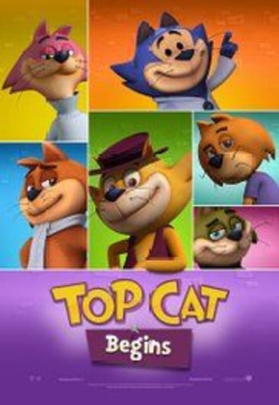 Top Cat Begins