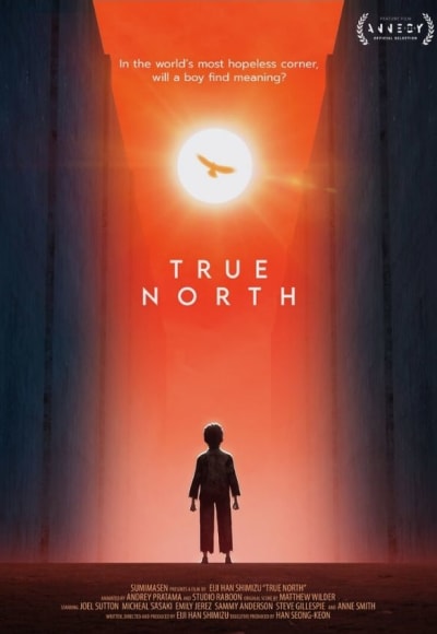 True North