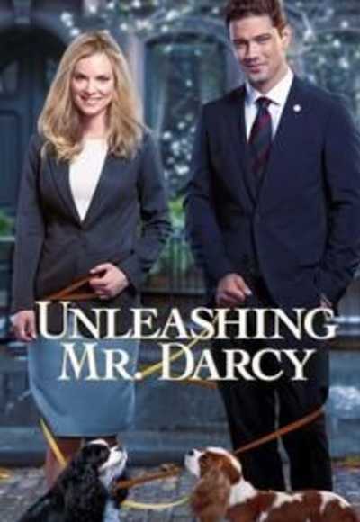 Unleashing Mr Darcy