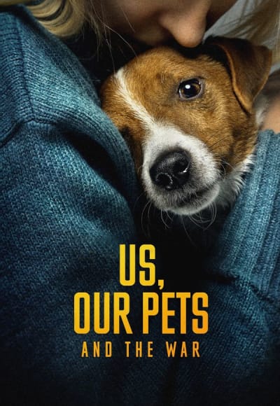 Us, Our Pets and the War