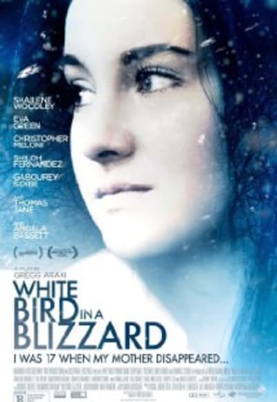 White Bird In A Blizzard