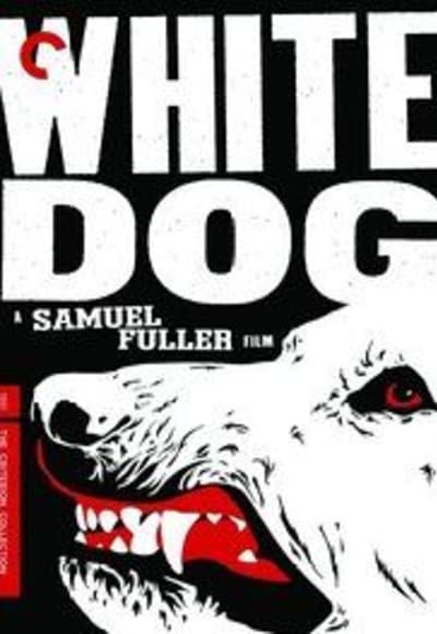 White Dog