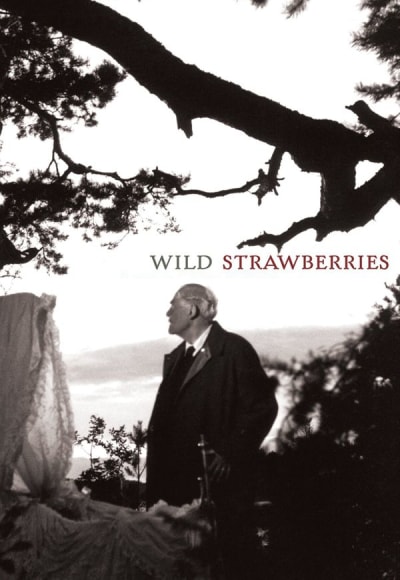 Wild Strawberries